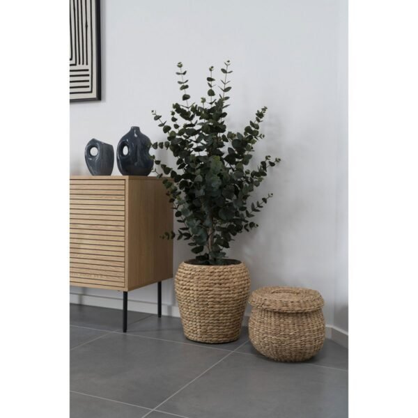 VASE – Image 2